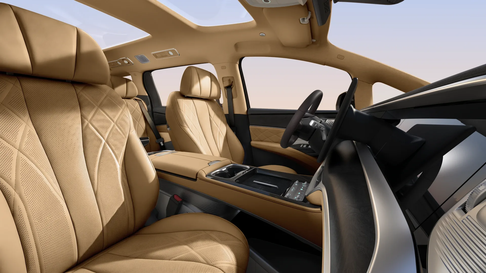 Interior Black & Brown