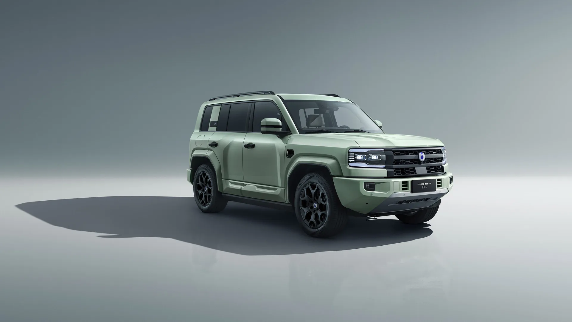 DENZA B5 Olive Green