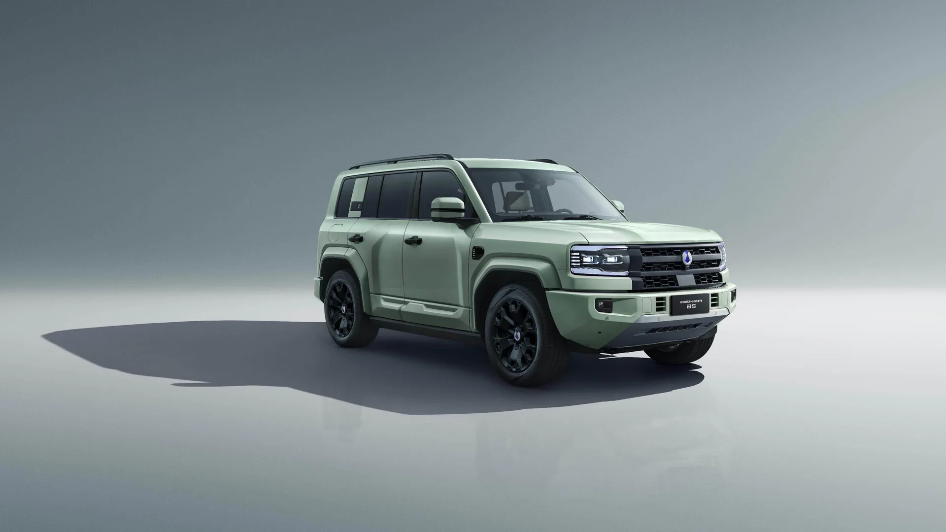 DENZA B5 Olive Green